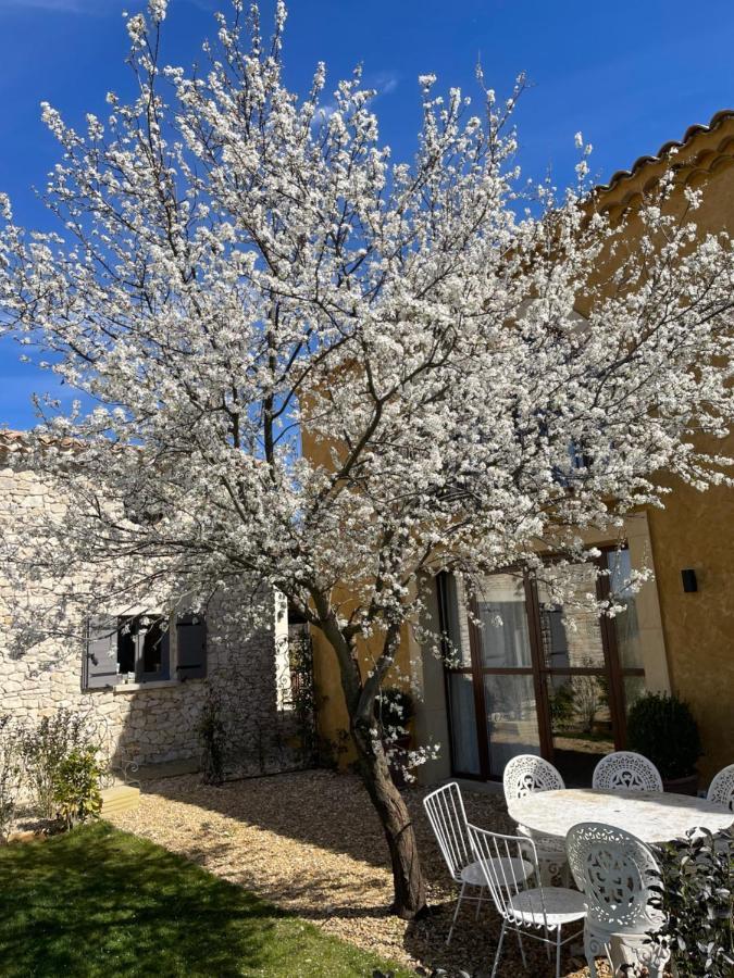 Domaine D'Egenia Villa Roussillon en Isere Екстериор снимка