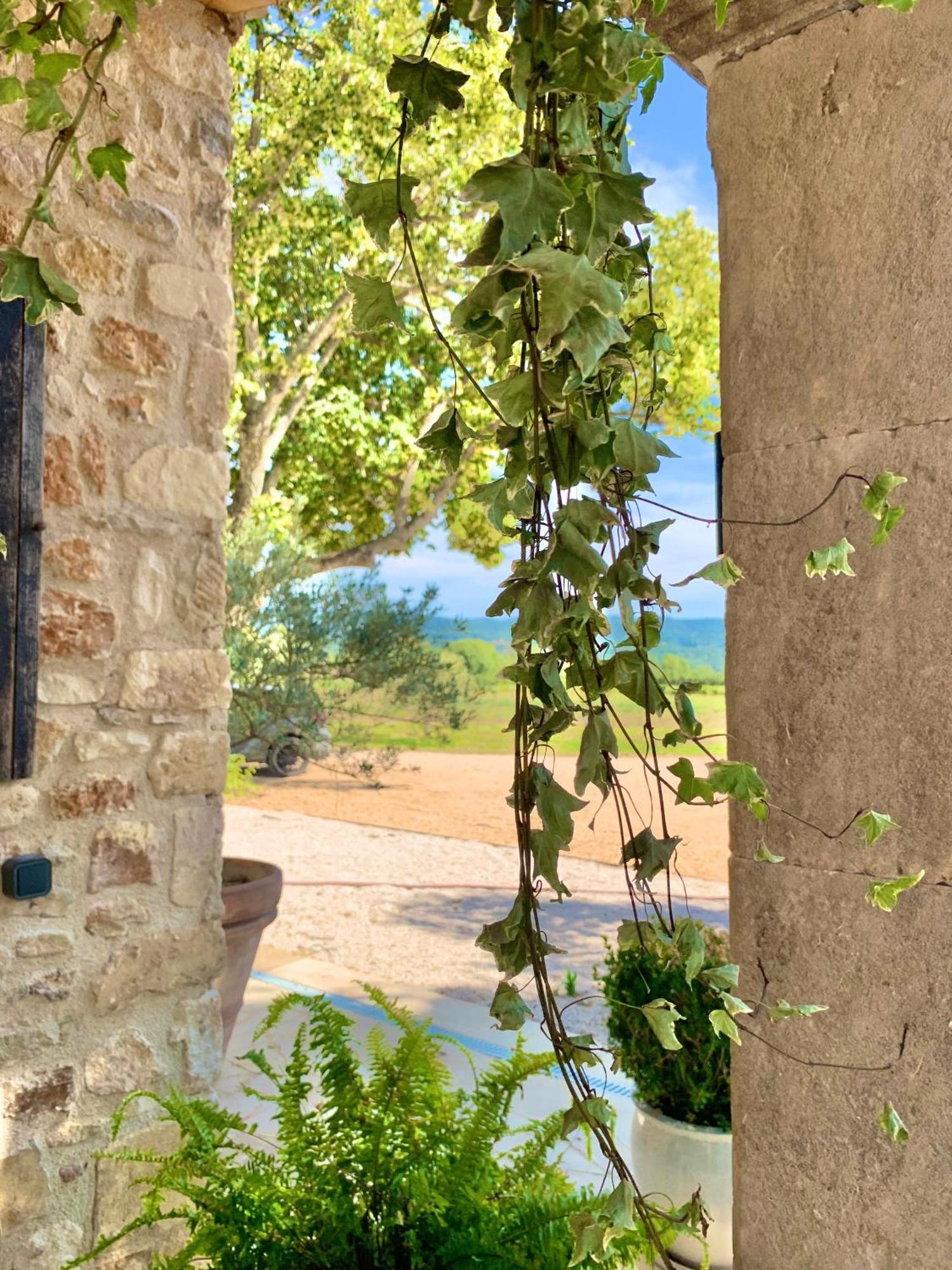 Domaine D'Egenia Villa Roussillon en Isere Екстериор снимка