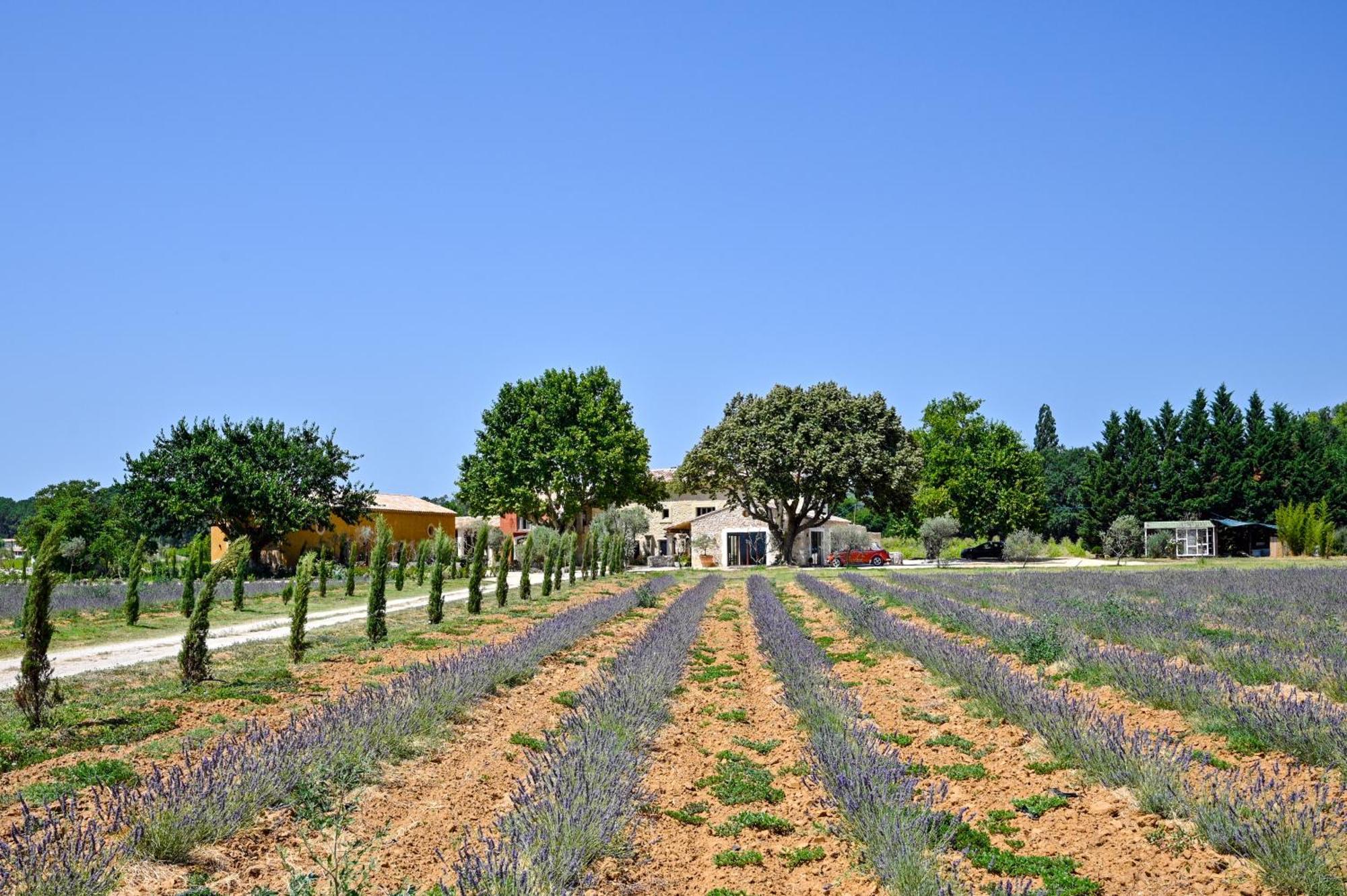 Domaine D'Egenia Villa Roussillon en Isere Екстериор снимка