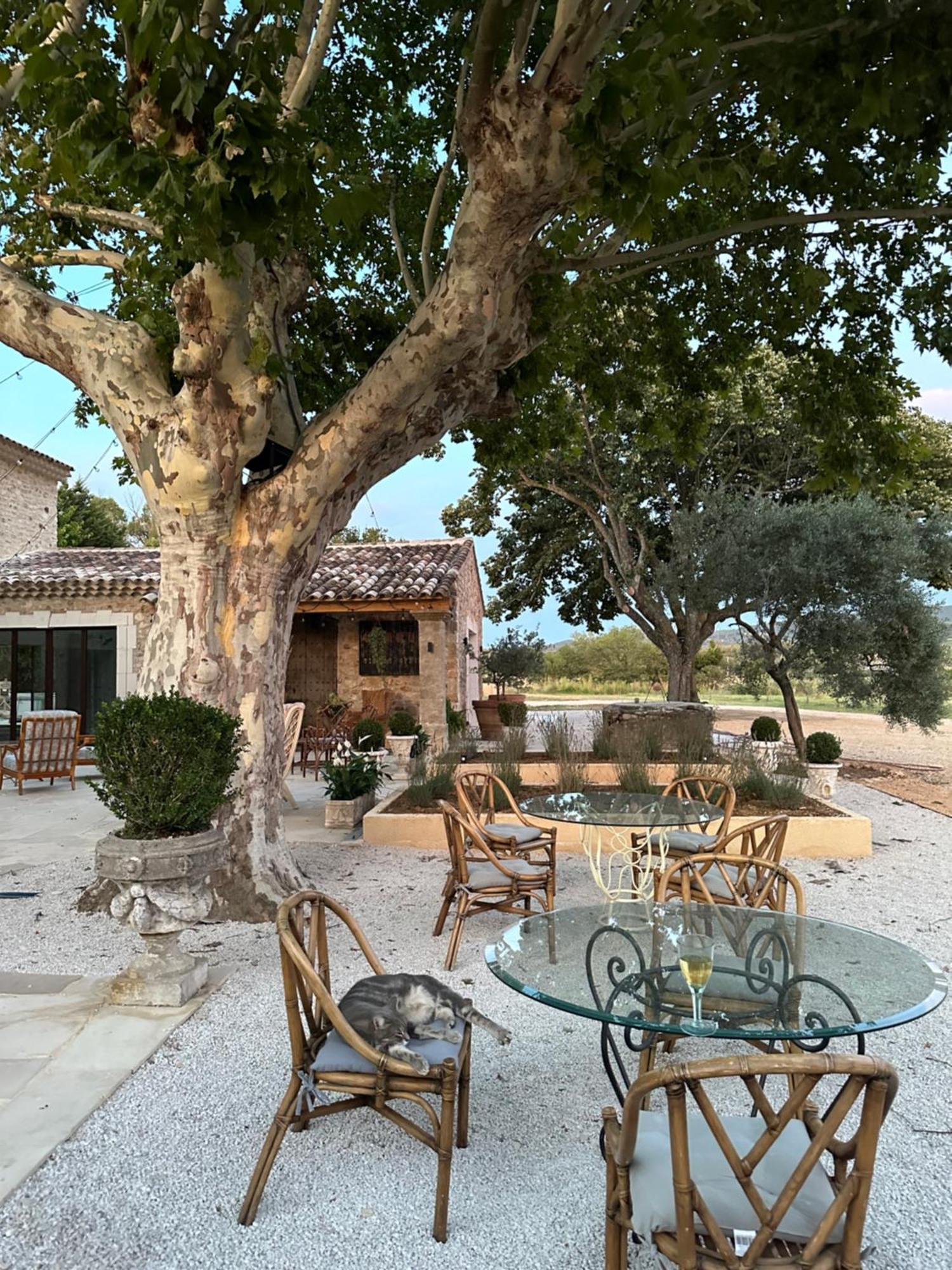 Domaine D'Egenia Villa Roussillon en Isere Екстериор снимка